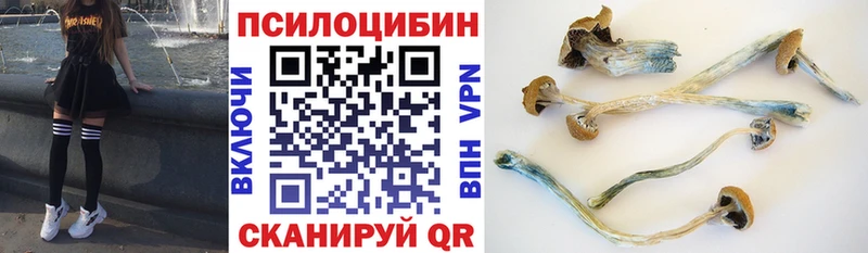 купить   нарко площадка официальный сайт  Псилоцибиновые грибы Cubensis  Александровск 
